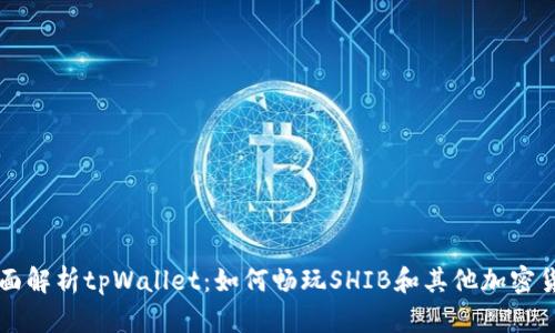 全面解析tpWallet：如何畅玩SHIB和其他加密货币