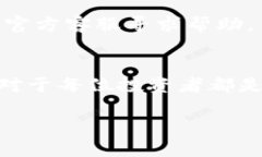   如何在tpWallet中导入token.im的代币 /  guanjianci t